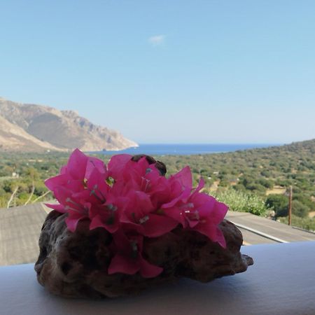 Tilos Island House Megálon Choríon エクステリア 写真