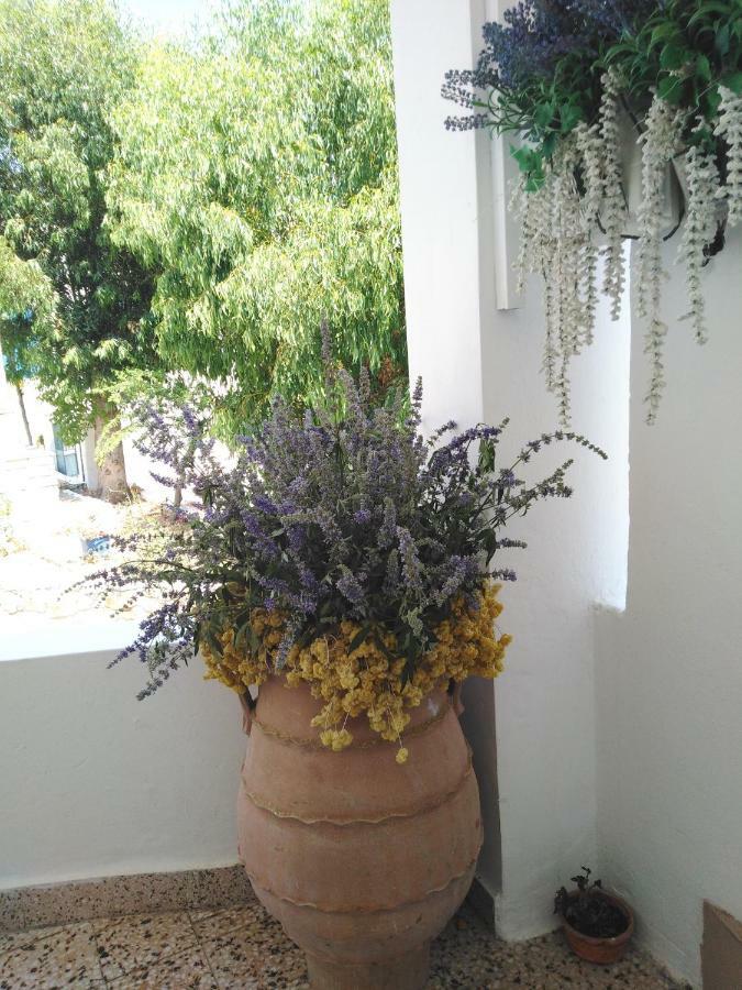 Tilos Island House Megálon Choríon エクステリア 写真